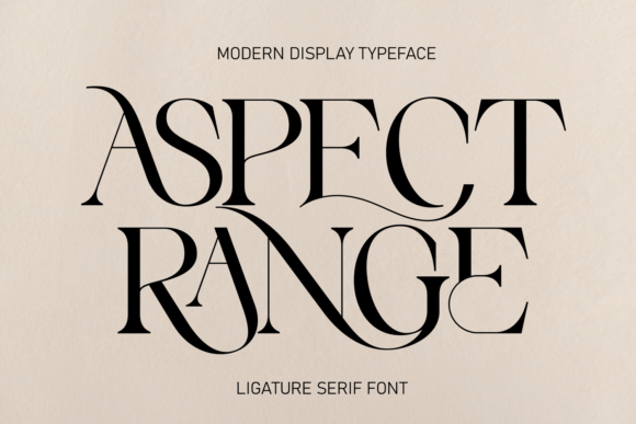 Aspect Range: A Serif Typeface Built for Modern Web Design