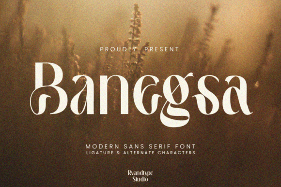 Banegsa: The Sans Serif Font I Chose for My Blog Redesign