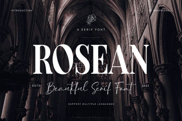 Rosean Font: The Sans Serif Typeface Built for Brand Recognition and Digital Impact