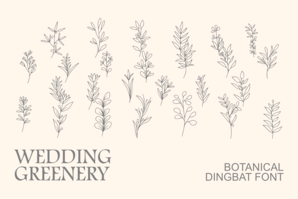 Wedding Greenery: A Brand Designer’s Review of the Botanical Dingbat Font